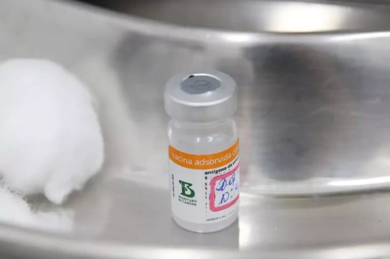 Frasco de vacina e chumaço de algodão, em um recipeiente hospitalar de alumínio