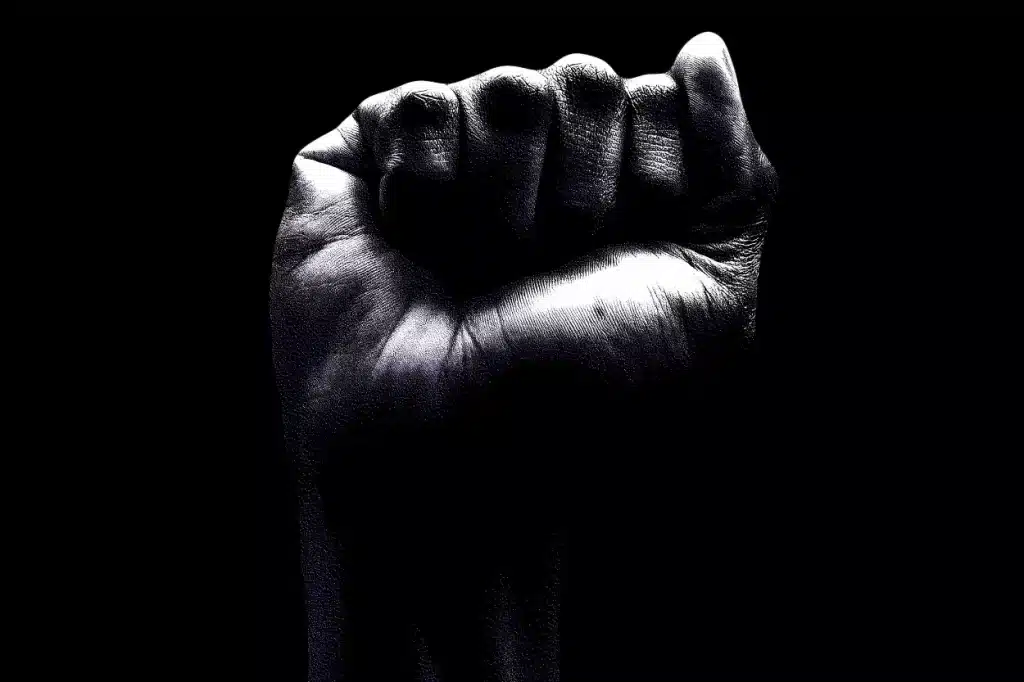 Símbolo do movimento negro dos Estados Unidos, adotado pelos Panteras Negras