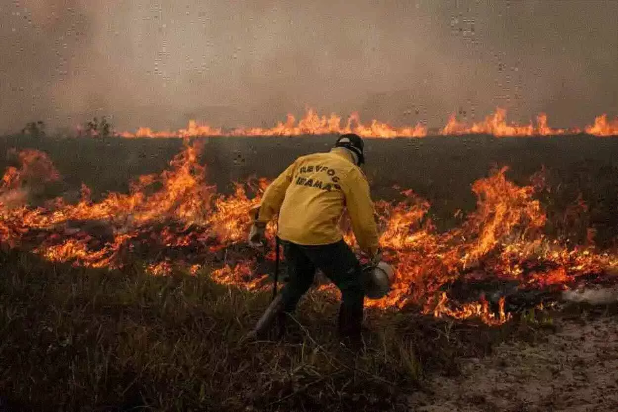 Agente do Ibama em ação de combate ao fogo