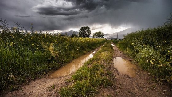 chuva-para-todos.jpg